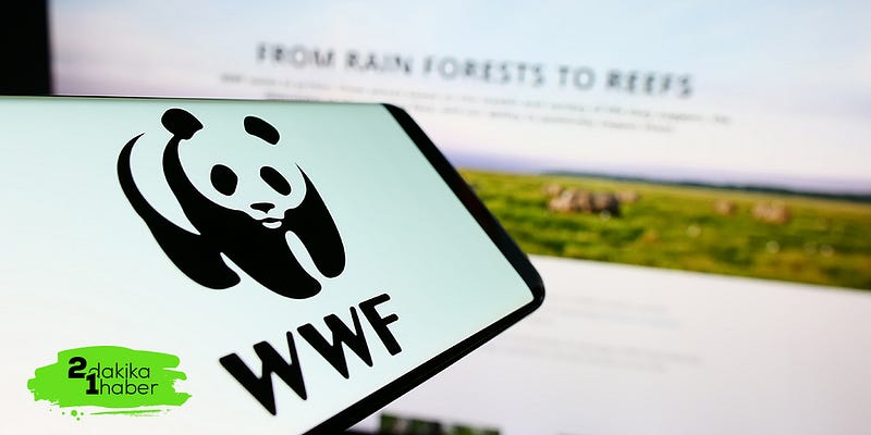 WWF’den WhatsApp oyunu!