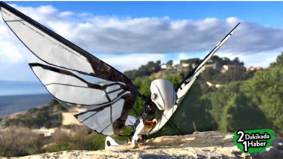 Kozasından çıkan drone