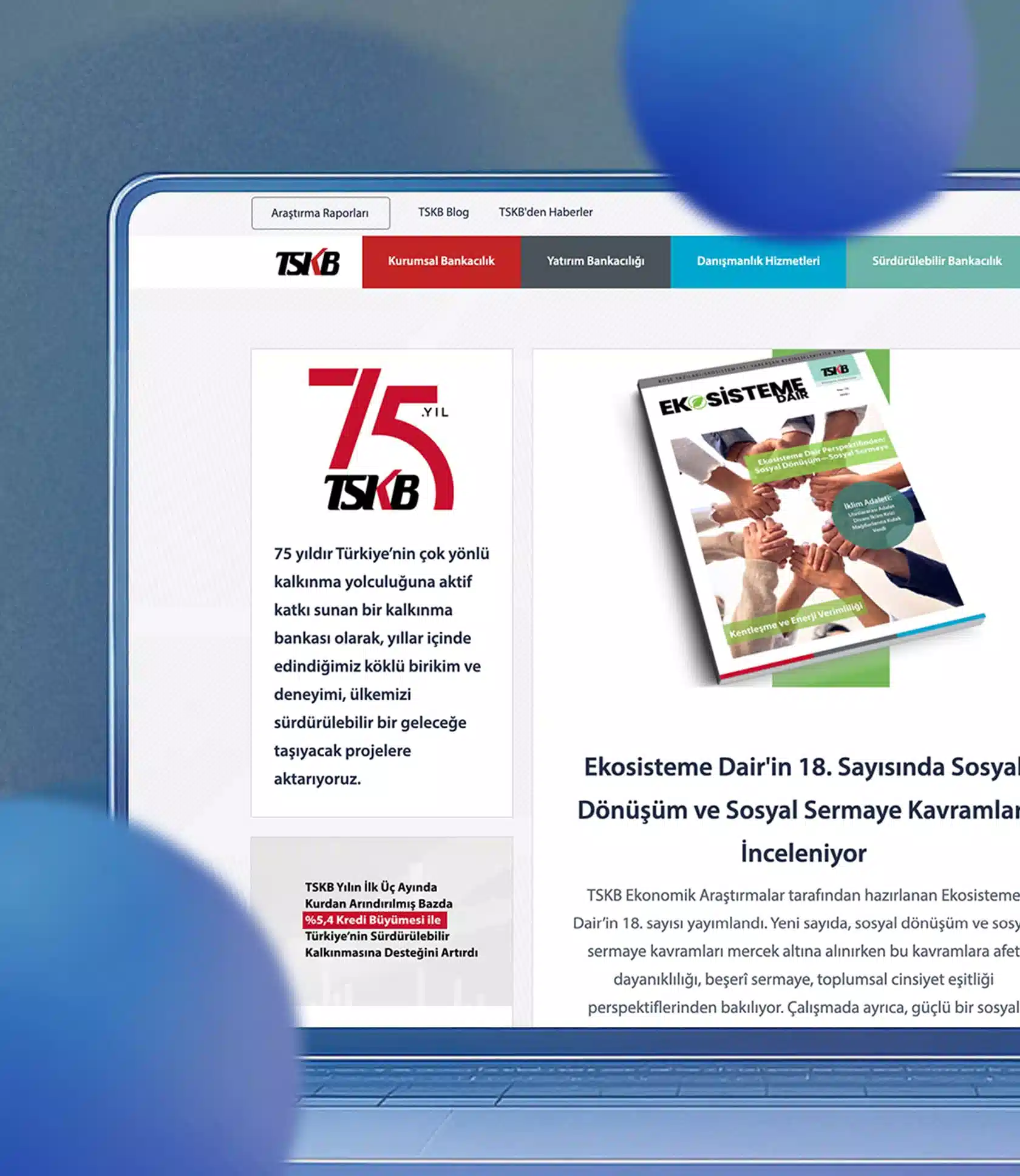 Geniş Bir Vizyonun Penceresi.