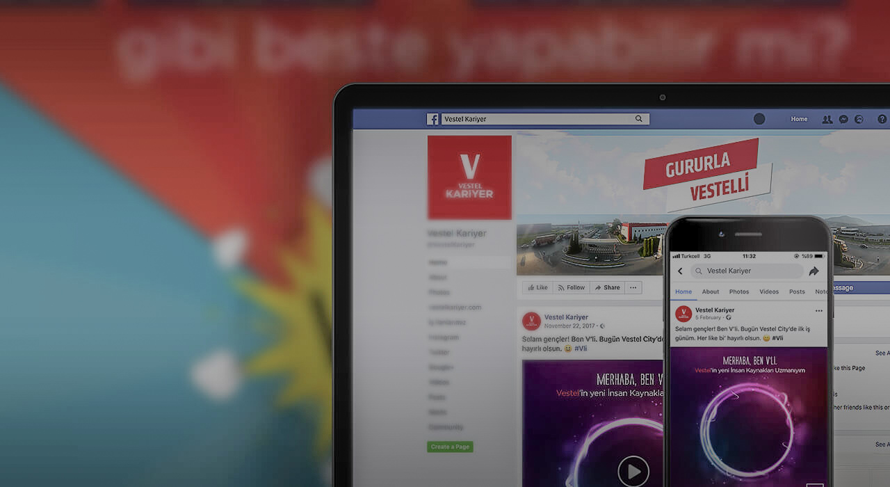 Vestel Career