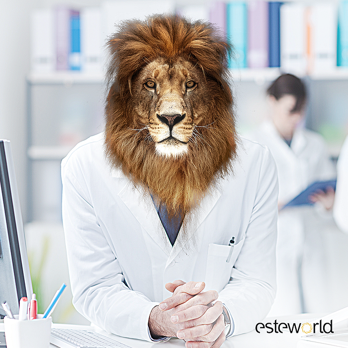 Esteworld, Gri Creative dedi!