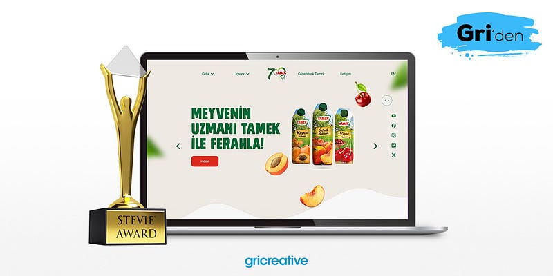 Tamek web sitesine bir uluslararası altın daha