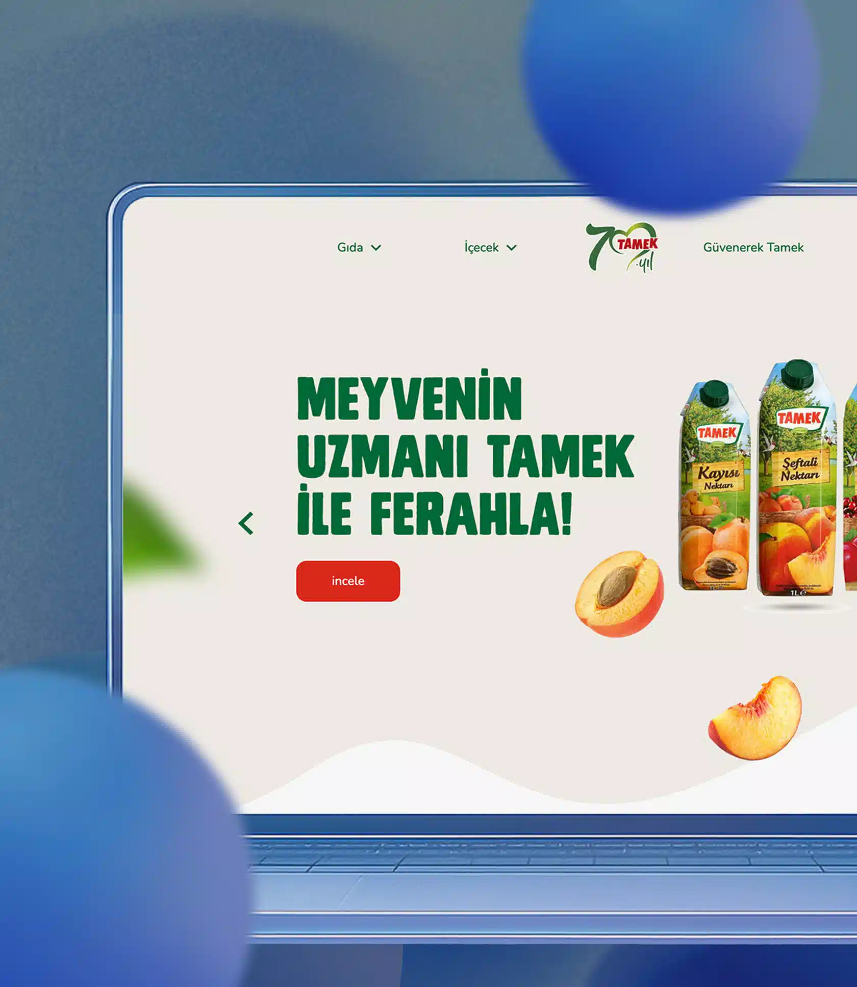 Tamek’in Dijital Vitrini.