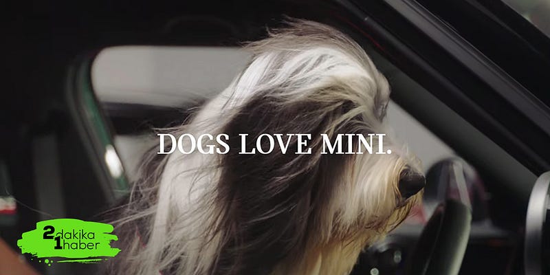 Eylül ayının en etkili reklam filmi: Mini UK Dogs Trust