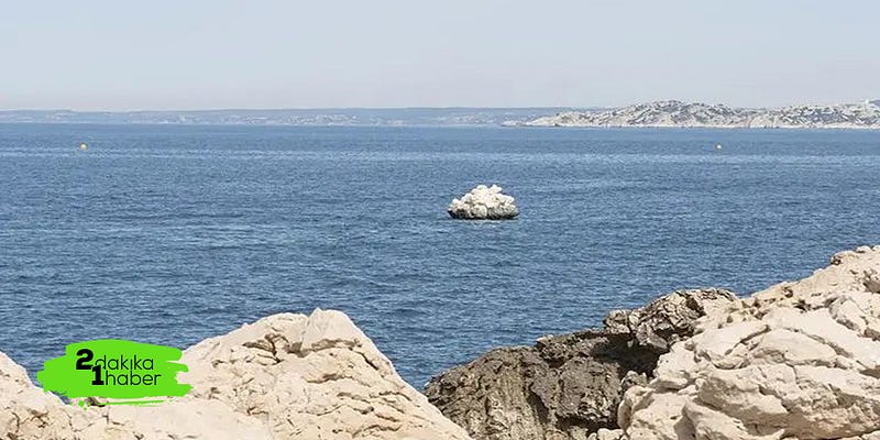 Doğanın Tasarımı