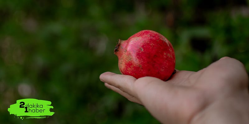 Pazarlama çok yakın gelecekte 5 duyuyu da kapsayacak